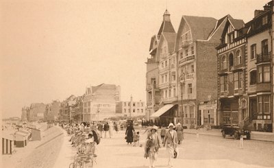 La Digue, The Promenade, c1900 by Unbekannt