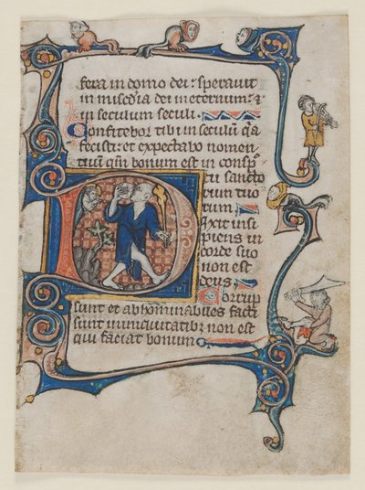 Leaf from a Psalter: Initial D: A Fool Rebuked by God, c. 1300-1320 by Unbekannt