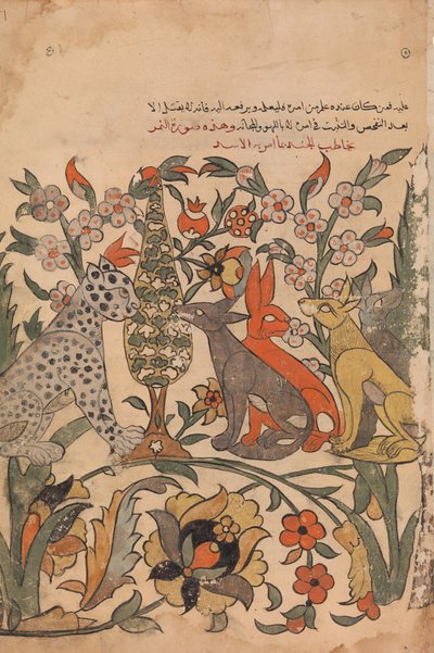 Leopard Bearing Lion