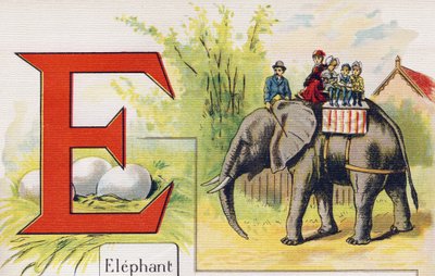 Letter E: Elephant by Unbekannt