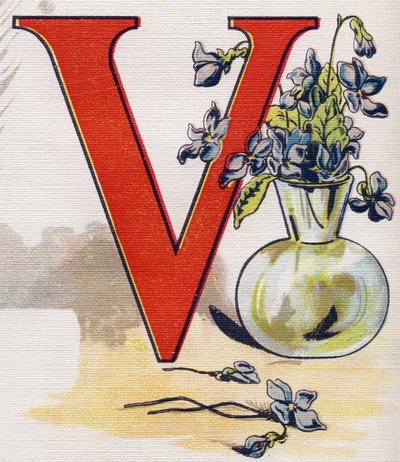 Letter V: Vase with Violets by Unbekannt