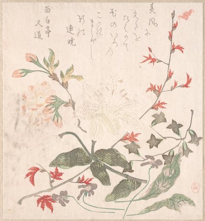 Lily, Violets, Cherry Blossoms, Forsythia, and a Branch of Red Maple, 18th-19th Century by Unbekannt