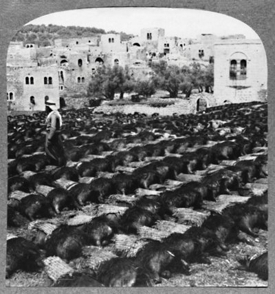 Making Wine Bottles, Hebron by Unbekannt