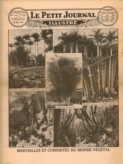 Marvels and curiosities of the plant world by Unbekannt