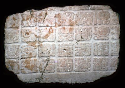 Mayan Hieroglyphs on Part of a Door Lintel by Unbekannt