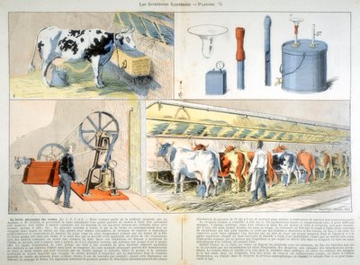 Milking Parlour Equipped with Thistle Suction and Pulsation Milking Machine by Unbekannt