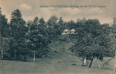 Nuwara Eliya Golf Links, Driving on the 7th Tee, Ceylon by Unbekannt