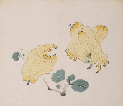 Page from Shi Zhu Zhai by Unbekannt