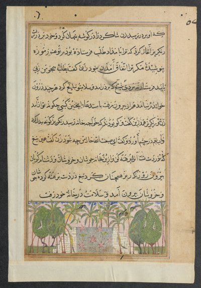 Page from Tales of a Parrot Tuti-nama: Eighth Night: Landscape with a Lotus Pool by Unbekannt