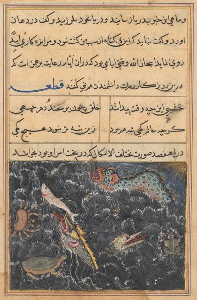 Page from Tales of a Parrot Tuti-nama: Eleventh night: The creatures of the sea by Unbekannt