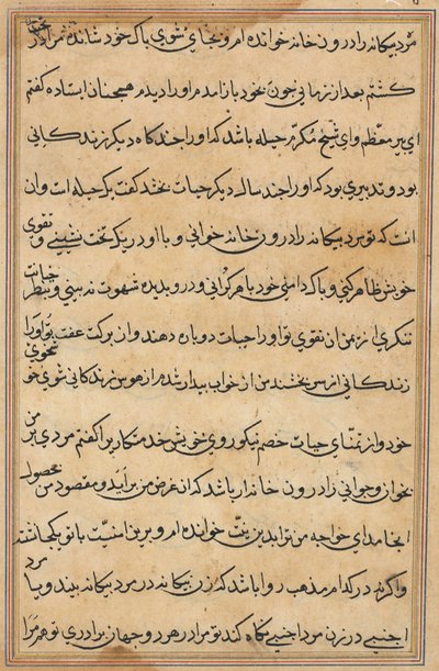 Page from Tales of a Parrot Tuti-nama: text page by Unbekannt
