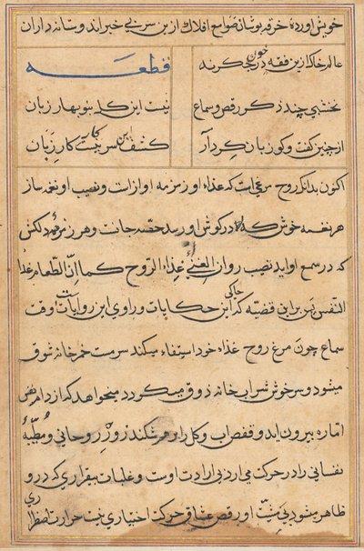 Page from Tales of a Parrot Tuti-nama: text page, c. 1560 by Unbekannt