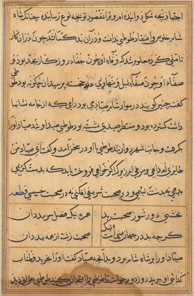 Page from Tales of a Parrot Tuti-nama: text page, c. 1560 by Unbekannt