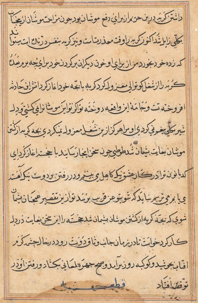 Page from Tales of a Parrot Tuti-nama: Text Page by Unbekannt
