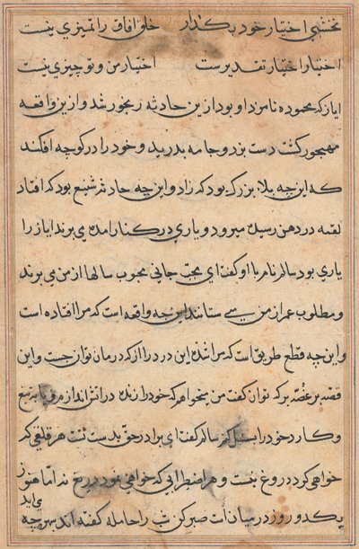 Page from Tales of a Parrot Tuti-nama: Text Page by Unbekannt