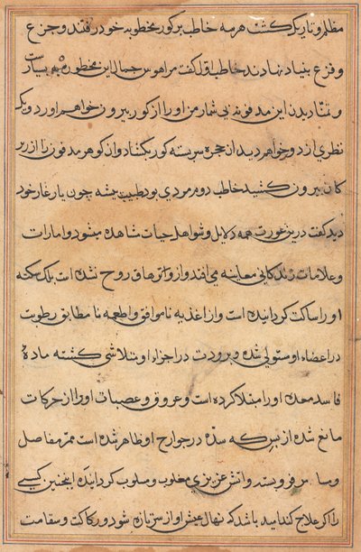 Page from Tales of a Parrot (Tuti-nama): text page, c. 1560 by Unbekannt