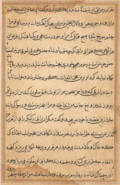 Page from Tales of a Parrot Tuti-nama: text page by Unbekannt