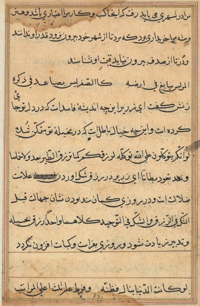 Page from Tales of a Parrot Tuti-nama: text page, c. 1560 by Unbekannt