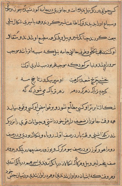 Page from Tales of a Parrot Tuti-nama: text page by Unbekannt
