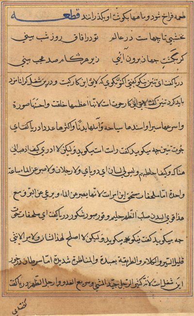 Page from Tales of a Parrot Tuti-nama: Text Page by Unbekannt
