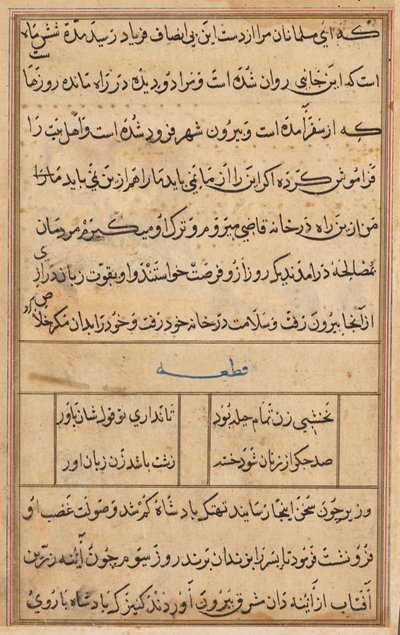Page from Tales of a Parrot Tuti-nama: Text Page, c. 1560 by Unbekannt