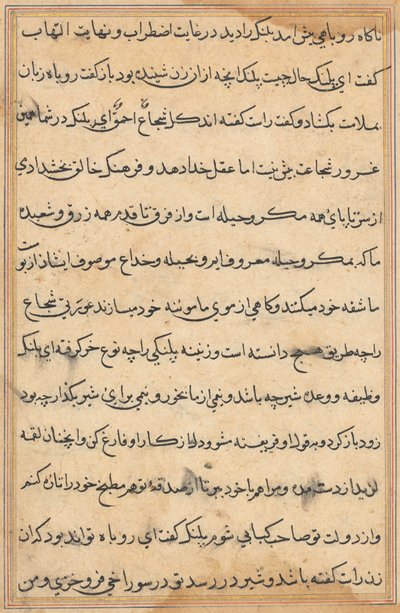 Page from Tales of a Parrot Tuti-nama: text page by Unbekannt