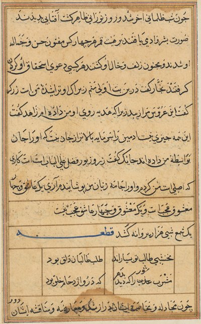 Page from Tales of a Parrot Tuti-nama: Text Page by Unbekannt