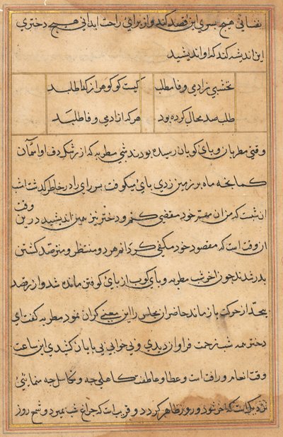 Page from Tales of a Parrot Tuti-nama: text page by Unbekannt