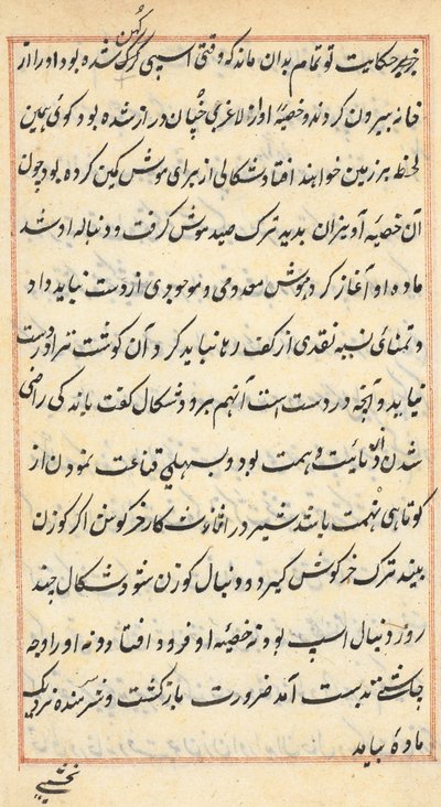Page from Tales of a Parrot Tuti-nama: text page, c. 1560 by Unbekannt