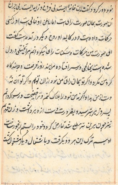 Page from Tales of a Parrot Tuti-nama: text page by Unbekannt
