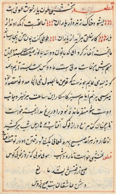 Page from Tales of a Parrot Tuti-nama: Text Page, c. 1560 by Unbekannt