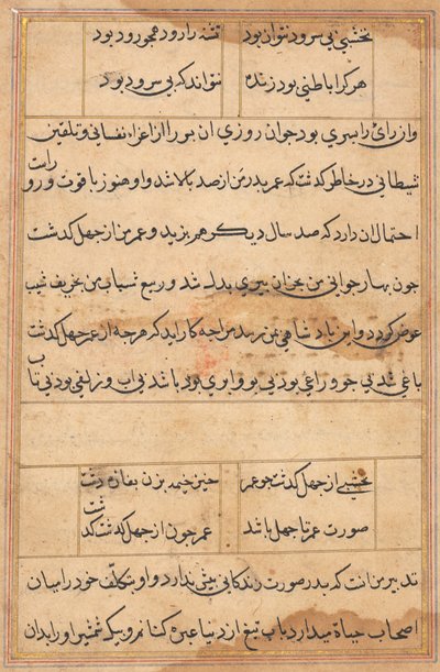 Page from Tales of a Parrot Tuti-nama: text page, c. 1560 by Unbekannt
