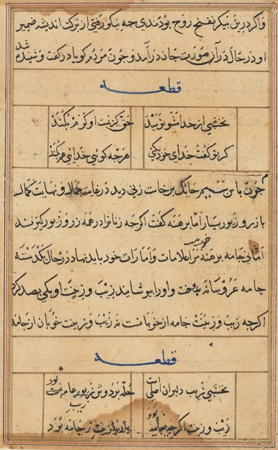 Page from Tales of a Parrot Tuti-nama: Text Page by Unbekannt