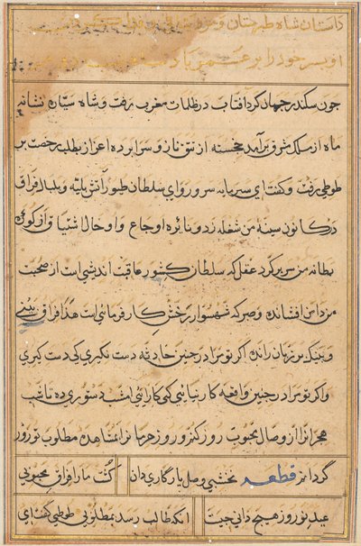 Page from Tales of a Parrot Tuti-nama: Text Page by Unbekannt