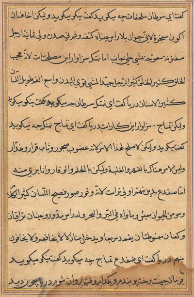Page from Tales of a Parrot Tuti-nama: text page, c. 1560 by Unbekannt