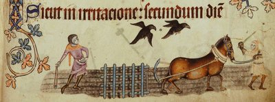Peasants ploughing from the Luttrell Psalter by Unbekannt
