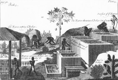 Producing Indigo Dye with Slave Labour: West Indies or Central America by Unbekannt