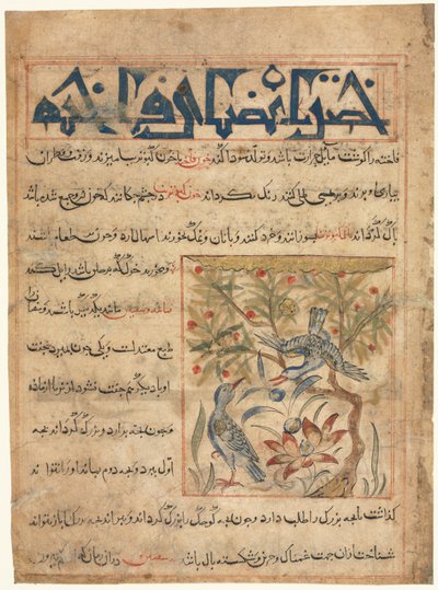 Qualities of Ringdoves recto from a Manafi al-Hayawan On the Usefulness of Animals by Unbekannt
