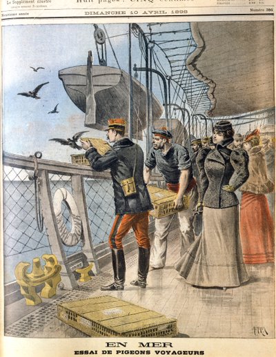 Releasing French Army Homing Pigeons on Board the Transatlantic Liner La Bretagne, 1898 by Unbekannt