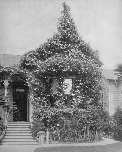 Rose Cottage, South Spring Street, Los Angeles, California by Unbekannt