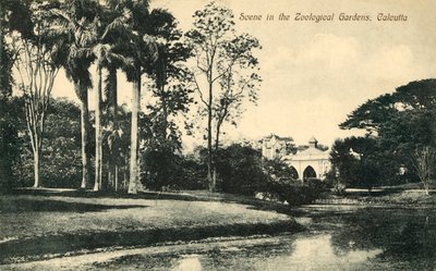Scene in the Zoological Gardens, Calcutta by Unbekannt