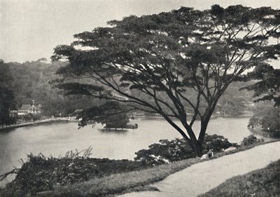 Temple of the Sacred Tooth and Library in Kandy, Seen from Victoria Drive to the East by Unbekannt