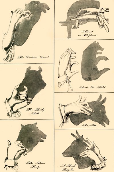 Shadow Pictures and Silhouettes, 1883 by Unbekannt