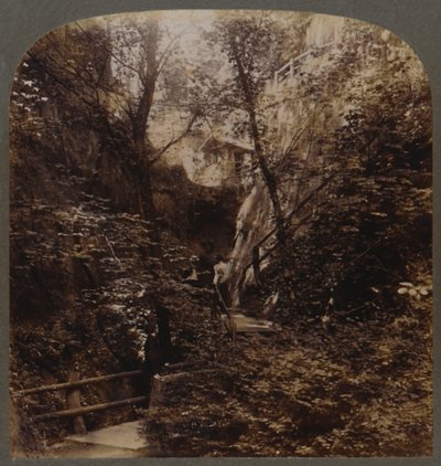 Shanklin Chine of World-wide fame, Isle of Wight, England by Unbekannt