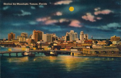 Skyline by Moonlight, Tampa, Florida, c1940s by Unbekannt