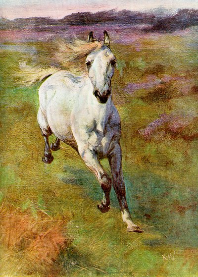 Study from Life for Colt Hunting in the New Forest by Unbekannt