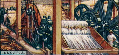 Sugar, 3. Crushing the Canes, Java by Unbekannt
