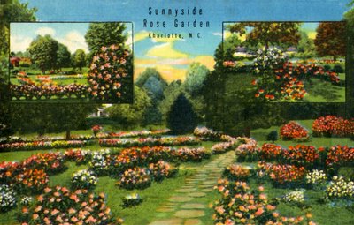 Sunnyside Rose Garden, Charlotte, N.C. by Unbekannt