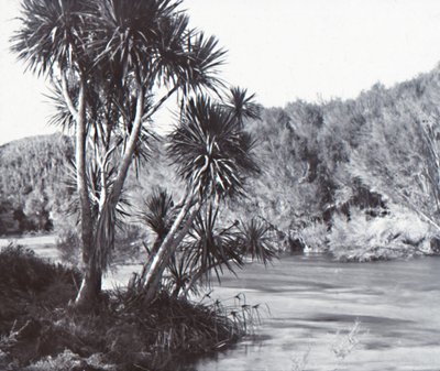 Te Waihou River, Okoroire, late 19th-early 20th century by Unbekannt