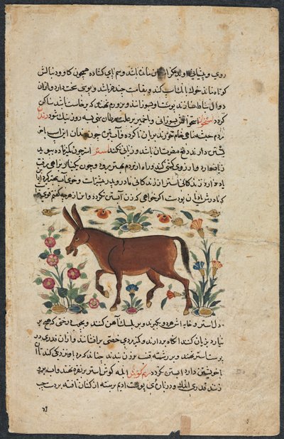 Text Page, Persian Prose Recto, Khar Ass Verso by Unbekannt